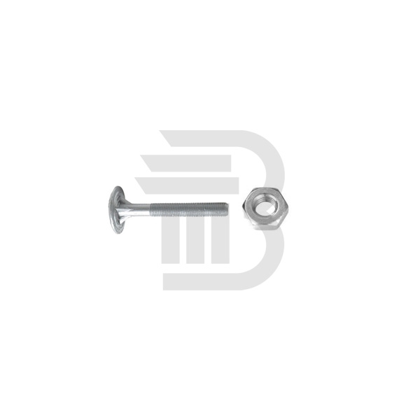 Timbe Eye Bolt